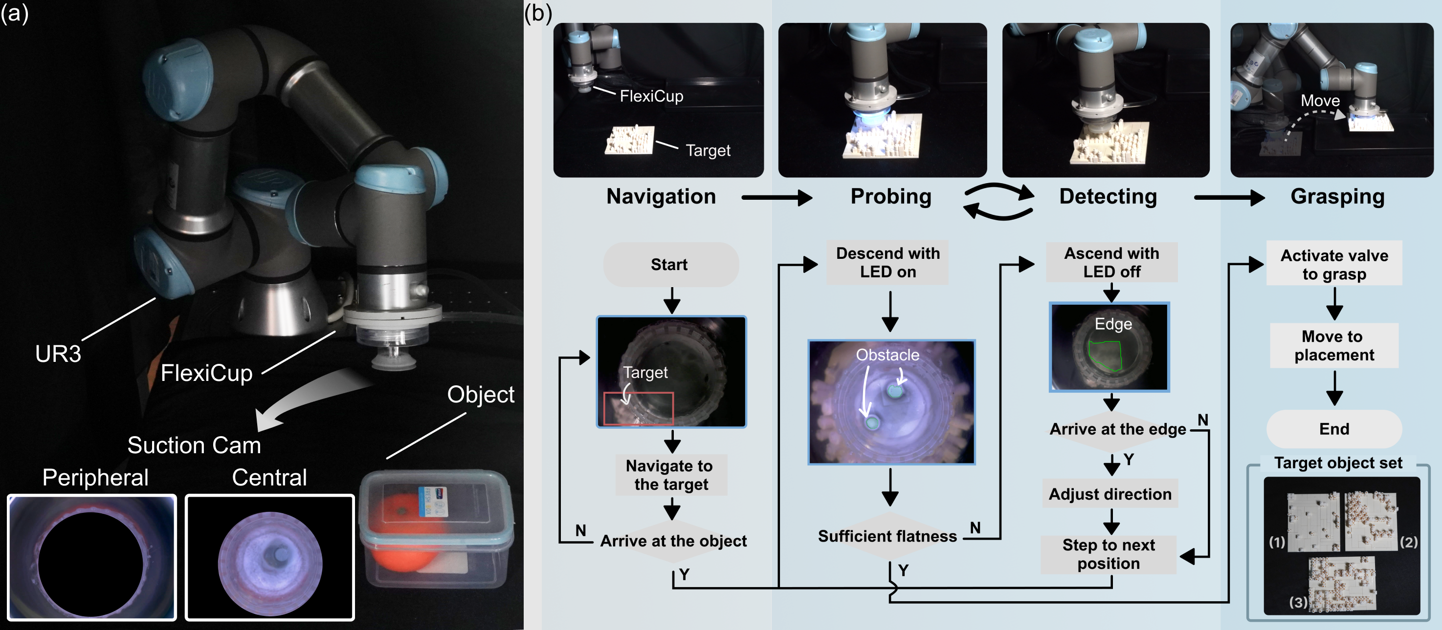 Experimental Setup and Framework